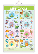 GOWOO - Life Cycle