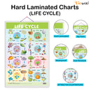 GOWOO - Life Cycle