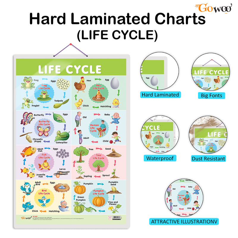 GOWOO - Life Cycle