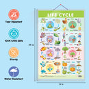 GOWOO - Life Cycle
