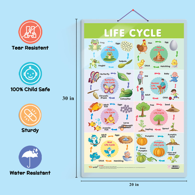 GOWOO - Life Cycle