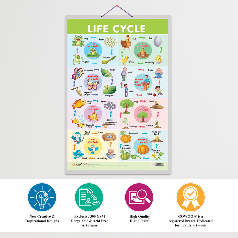 GOWOO - Life Cycle