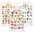 Set of 3 Alphabet, Fruits and Birds Early Learning Educational Charts for Kids | 20"X30" inch |Non-Tearable and Waterproof | Double Sided Laminated | Perfect for Homeschooling, Kindergarten and Nursery Students