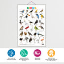 Set of 3 Alphabet, Fruits and Birds Early Learning Educational Charts for Kids | 20"X30" inch |Non-Tearable and Waterproof | Double Sided Laminated | Perfect for Homeschooling, Kindergarten and Nursery Students