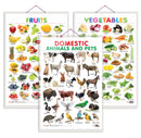 Set of 3 Fruits, Vegetables and Domestic Animals and Pets Early Learning Educational Charts for Kids | 20"X30" inch |Non-Tearable and Waterproof | Double Sided Laminated | Perfect for Homeschooling, Kindergarten and Nursery Students