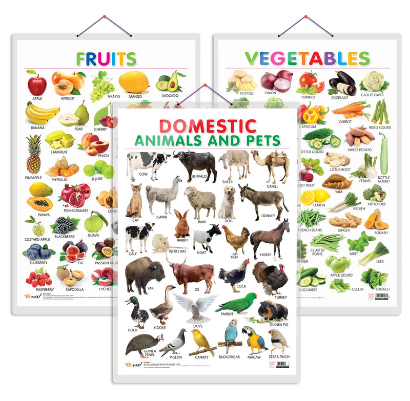 Set of 3 Fruits, Vegetables and Domestic Animals and Pets Early Learning Educational Charts for Kids | 20"X30" inch |Non-Tearable and Waterproof | Double Sided Laminated | Perfect for Homeschooling, Kindergarten and Nursery Students