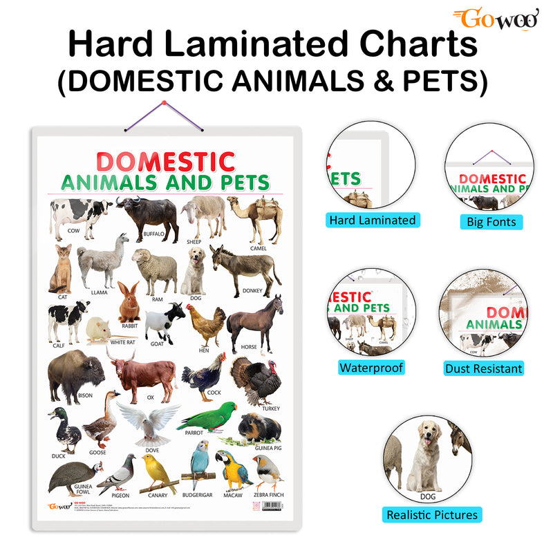 Set of 3 Fruits, Vegetables and Domestic Animals and Pets Early Learning Educational Charts for Kids | 20"X30" inch |Non-Tearable and Waterproof | Double Sided Laminated | Perfect for Homeschooling, Kindergarten and Nursery Students
