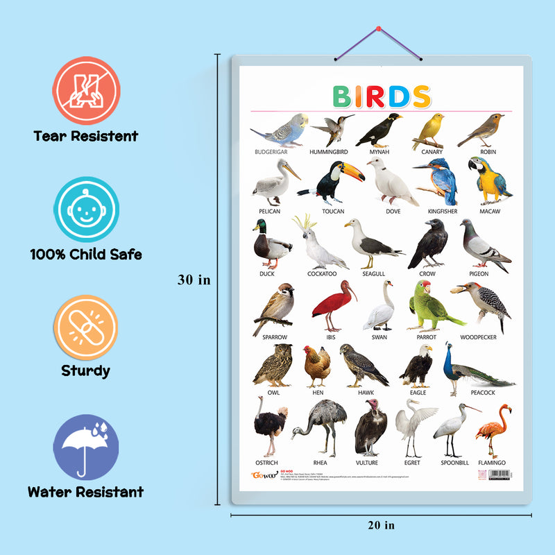 Set of 3 Fruits, Vegetables and Birds Early Learning Educational Charts for Kids | 20"X30" inch |Non-Tearable and Waterproof | Double Sided Laminated | Perfect for Homeschooling, Kindergarten and Nursery Students