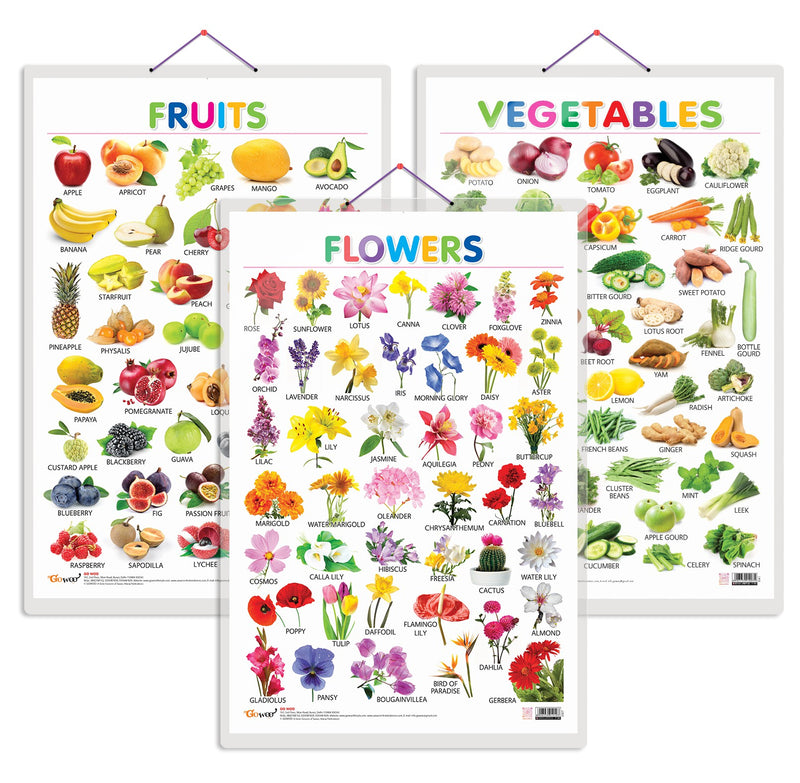Set of 3 Fruits, Vegetables and Flowers Early Learning Educational Charts for Kids | 20"X30" inch |Non-Tearable and Waterproof | Double Sided Laminated | Perfect for Homeschooling, Kindergarten and Nursery Students