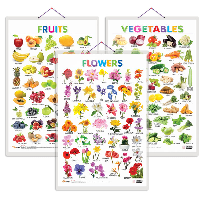 Set of 3 Fruits, Vegetables and Flowers Early Learning Educational Charts for Kids | 20"X30" inch |Non-Tearable and Waterproof | Double Sided Laminated | Perfect for Homeschooling, Kindergarten and Nursery Students