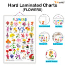 Set of 3 Fruits, Vegetables and Flowers Early Learning Educational Charts for Kids | 20"X30" inch |Non-Tearable and Waterproof | Double Sided Laminated | Perfect for Homeschooling, Kindergarten and Nursery Students