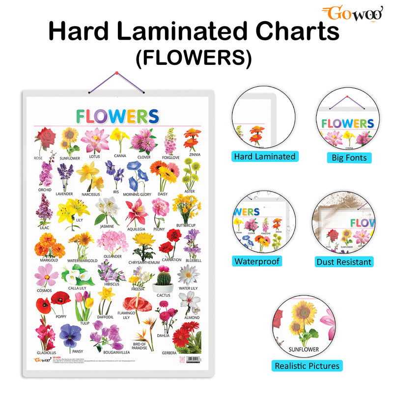 Set of 3 Fruits, Vegetables and Flowers Early Learning Educational Charts for Kids | 20"X30" inch |Non-Tearable and Waterproof | Double Sided Laminated | Perfect for Homeschooling, Kindergarten and Nursery Students