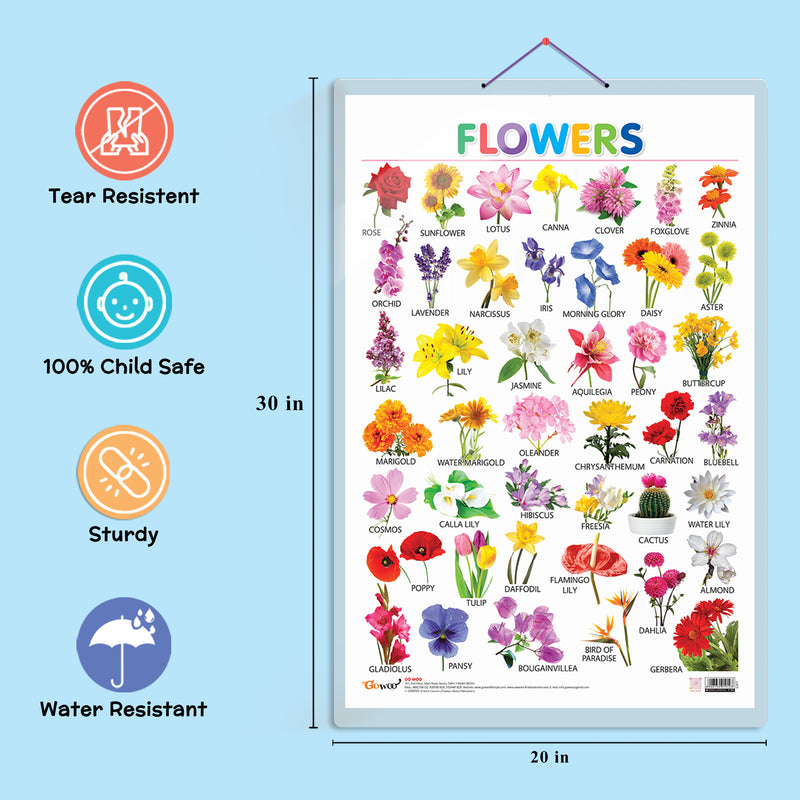 Set of 3 Fruits, Vegetables and Flowers Early Learning Educational Charts for Kids | 20"X30" inch |Non-Tearable and Waterproof | Double Sided Laminated | Perfect for Homeschooling, Kindergarten and Nursery Students