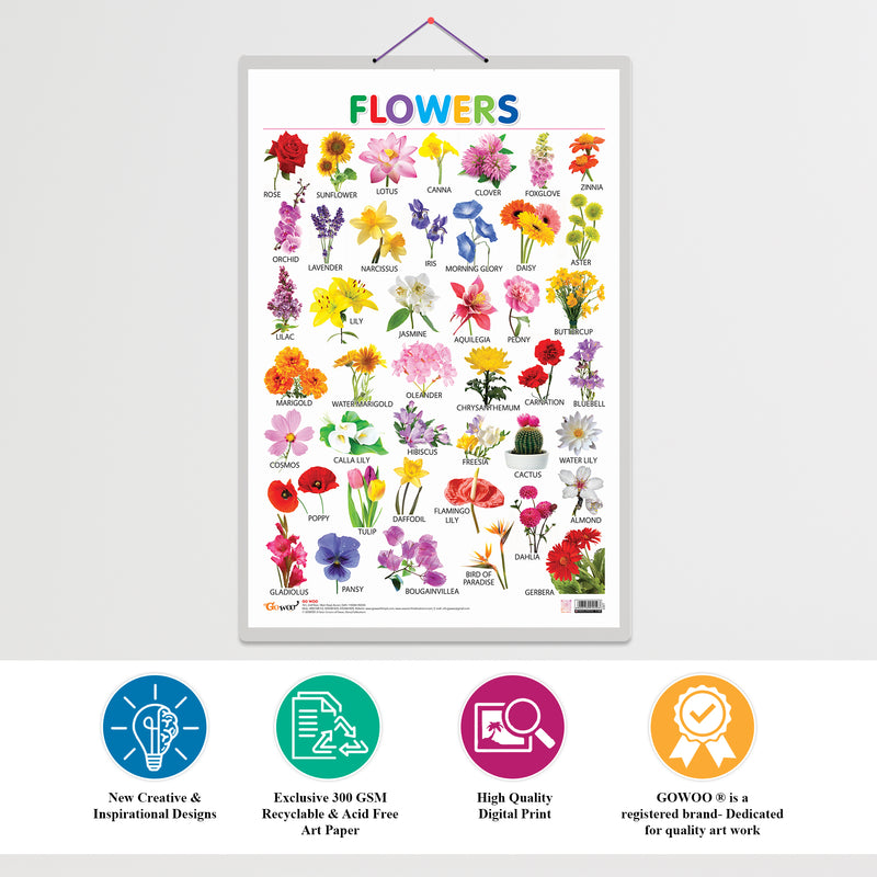 Set of 3 Fruits, Vegetables and Flowers Early Learning Educational Charts for Kids | 20"X30" inch |Non-Tearable and Waterproof | Double Sided Laminated | Perfect for Homeschooling, Kindergarten and Nursery Students