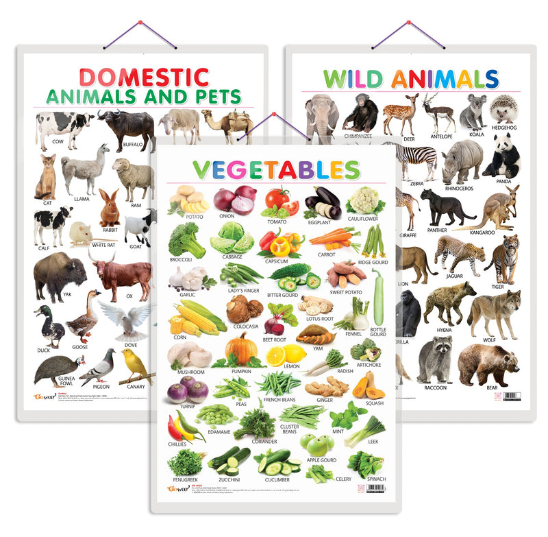 Set of 3 Vegetables, Domestic Animals and Pets and Wild Animals Early Learning Educational Charts for Kids | 20"X30" inch |Non-Tearable and Waterproof | Double Sided Laminated | Perfect for Homeschooling, Kindergarten and Nursery Students