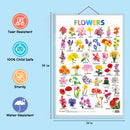 Set of 3 Vegetables, Domestic Animals and Pets and Flowers Early Learning Educational Charts for Kids | 20"X30" inch |Non-Tearable and Waterproof | Double Sided Laminated | Perfect for Homeschooling, Kindergarten and Nursery Students