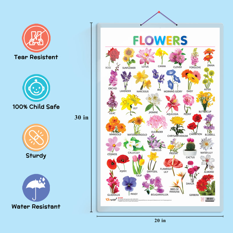 Set of 3 Vegetables, Domestic Animals and Pets and Flowers Early Learning Educational Charts for Kids | 20"X30" inch |Non-Tearable and Waterproof | Double Sided Laminated | Perfect for Homeschooling, Kindergarten and Nursery Students