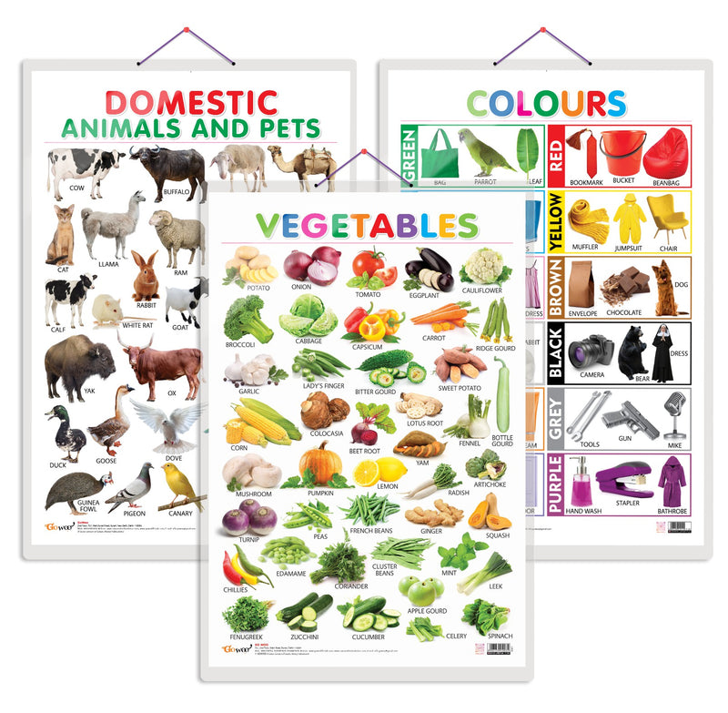 Set of 3 Vegetables, Domestic Animals and Pets and Colours Early Learning Educational Charts for Kids | 20"X30" inch |Non-Tearable and Waterproof | Double Sided Laminated | Perfect for Homeschooling, Kindergarten and Nursery Students