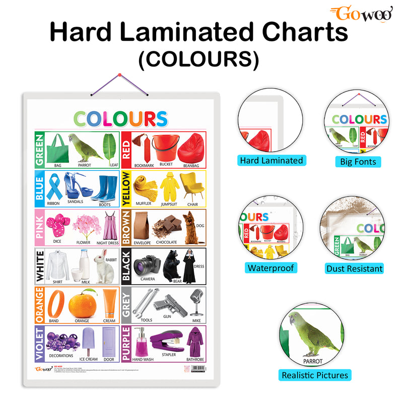 Set of 3 Vegetables, Domestic Animals and Pets and Colours Early Learning Educational Charts for Kids | 20"X30" inch |Non-Tearable and Waterproof | Double Sided Laminated | Perfect for Homeschooling, Kindergarten and Nursery Students