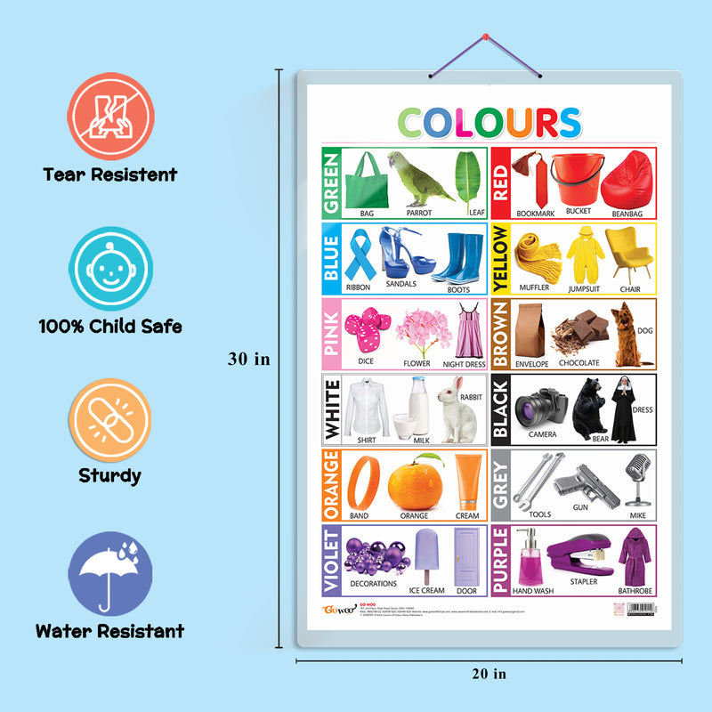 Set of 3 Vegetables, Domestic Animals and Pets and Colours Early Learning Educational Charts for Kids | 20"X30" inch |Non-Tearable and Waterproof | Double Sided Laminated | Perfect for Homeschooling, Kindergarten and Nursery Students