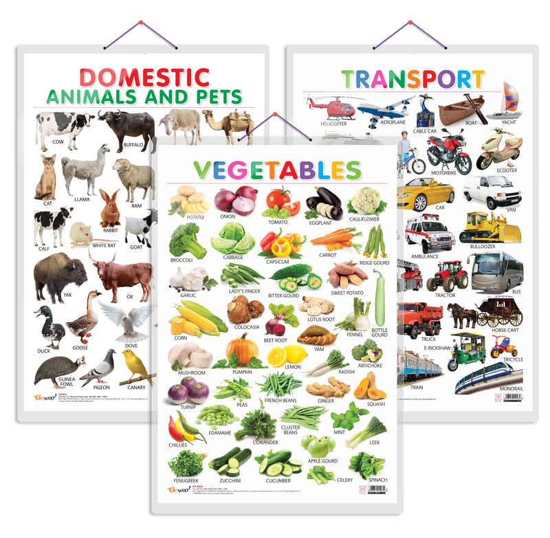 Set of 3 Vegetables, Domestic Animals and Pets and Transport Early Learning Educational Charts for Kids | 20"X30" inch |Non-Tearable and Waterproof | Double Sided Laminated | Perfect for Homeschooling, Kindergarten and Nursery Students