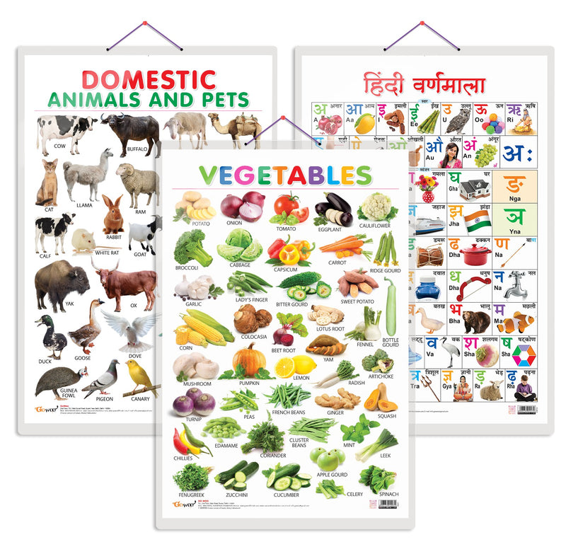 Set of 3 Vegetables, Domestic Animals and Pets and Hindi Varnamala Early Learning Educational Charts for Kids | 20"X30" inch |Non-Tearable and Waterproof | Double Sided Laminated | Perfect for Homeschooling, Kindergarten and Nursery Students