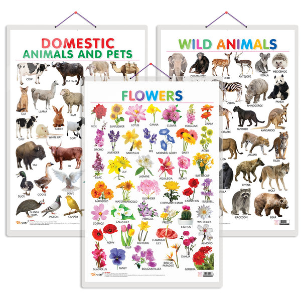 JoGenii|Set-of-3-Domestic-Animals-and-Pets,-Wild-Animals-and