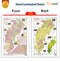 GOWOO - 2 IN 1 CHATTISGARH POLITICAL AND PHYSICAL Map IN ENGLISH