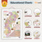 GOWOO - 2 IN 1 CHATTISGARH POLITICAL AND PHYSICAL Map IN ENGLISH