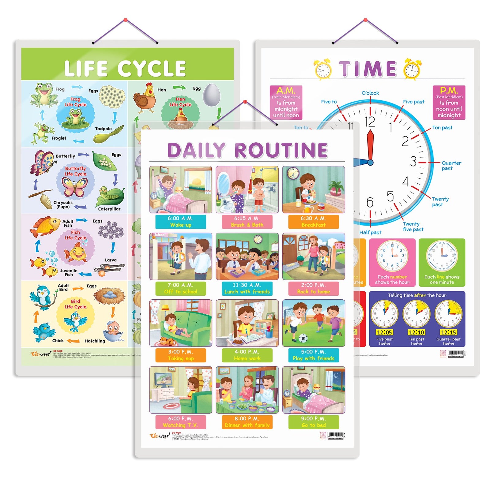 JoGenii|Set-of-3-Life-Cycle,-TIME-and-DAILY-ROUTINE-Early-Learning ...