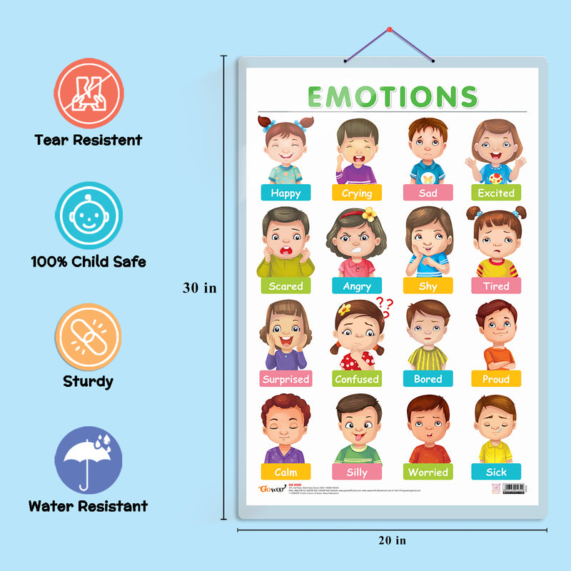 Set of 3 MONTHS OF THE YEAR AND DAYS OF THE WEEK, EMOTIONS and DAILY ROUTINE Early Learning Educational Charts for Kids | 20"X30" inch |Non-Tearable and Waterproof | Double Sided Laminated | Perfect for Homeschooling, Kindergarten and Nursery Students