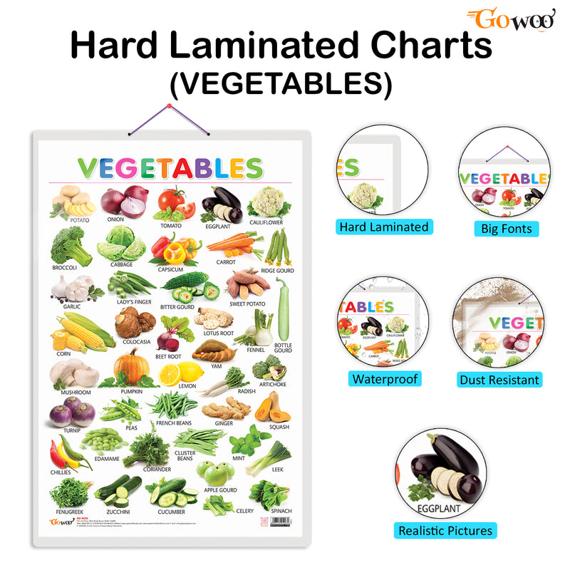 Set of 4 Alphabet, Fruits, Vegetable and Wild Animals Early Learning Educational Charts for Kids | 20"X30" inch |Non-Tearable and Waterproof | Double Sided Laminated | Perfect for Homeschooling, Kindergarten and Nursery Students