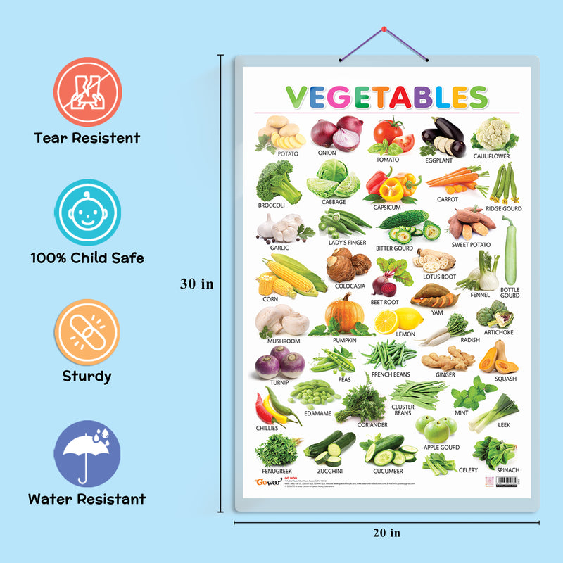 Set of 4 Alphabet, Fruits, Vegetable and Wild Animals Early Learning Educational Charts for Kids | 20"X30" inch |Non-Tearable and Waterproof | Double Sided Laminated | Perfect for Homeschooling, Kindergarten and Nursery Students