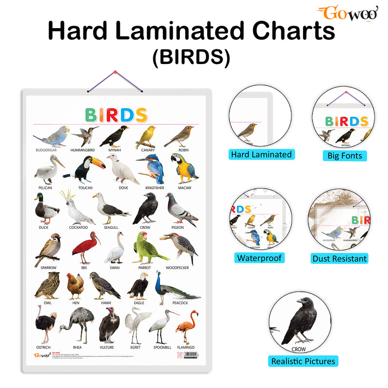 Set of 4 Alphabet, Fruits, Vegetables and Birds Early Learning Educational Charts for Kids | 20"X30" inch |Non-Tearable and Waterproof | Double Sided Laminated | Perfect for Homeschooling, Kindergarten and Nursery Students