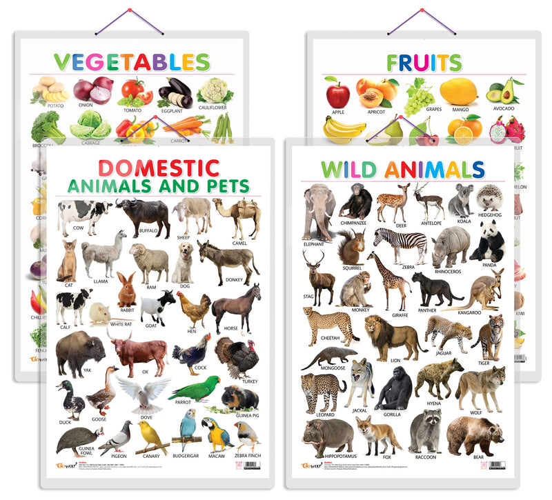 Set of 4 Fruits, Vegetables, Domestic Animals and Pets and Wild Animals Early Learning Educational Charts for Kids | 20"X30" inch |Non-Tearable and Waterproof | Double Sided Laminated | Perfect for Homeschooling, Kindergarten and Nursery Students