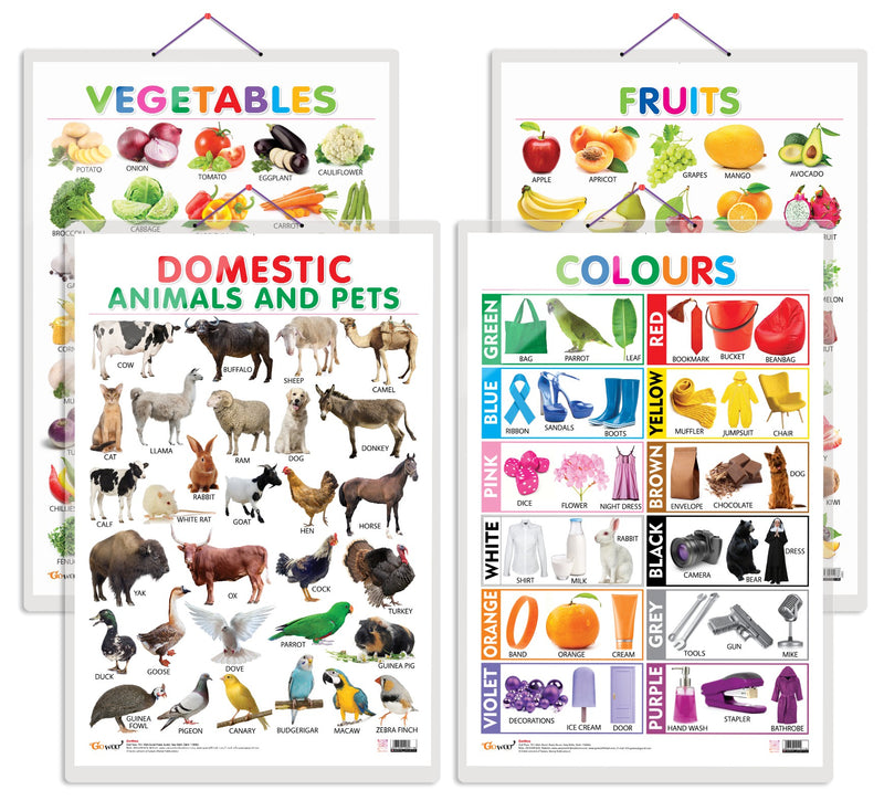 Set of 4 Fruits, Vegetables, Domestic Animals and Pets and Colours Early Learning Educational Charts for Kids | 20"X30" inch |Non-Tearable and Waterproof | Double Sided Laminated | Perfect for Homeschooling, Kindergarten and Nursery Students