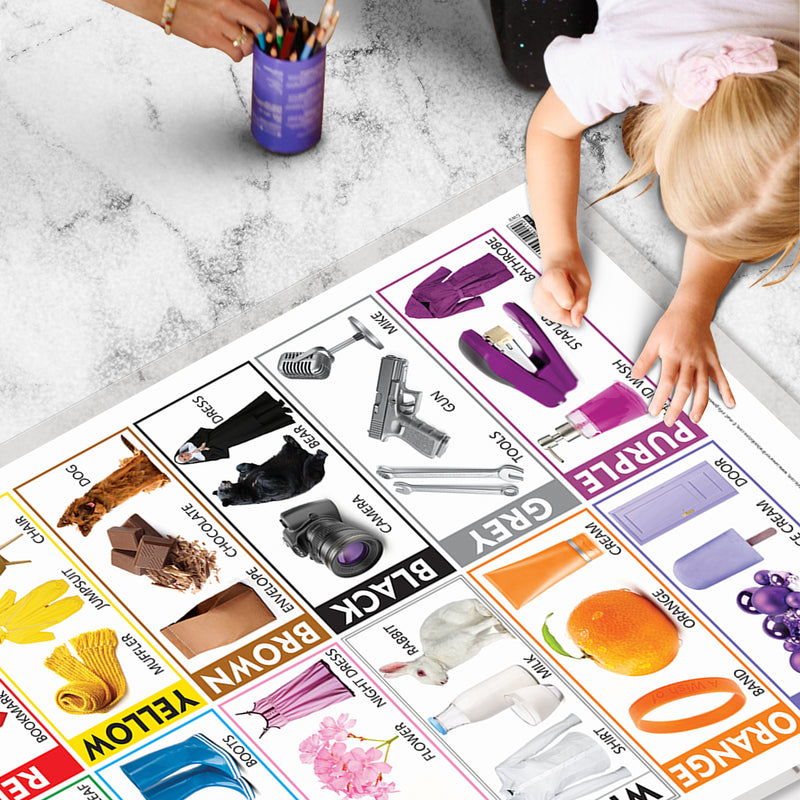 Set of 4 Fruits, Vegetables, Domestic Animals and Pets and Colours Early Learning Educational Charts for Kids | 20"X30" inch |Non-Tearable and Waterproof | Double Sided Laminated | Perfect for Homeschooling, Kindergarten and Nursery Students