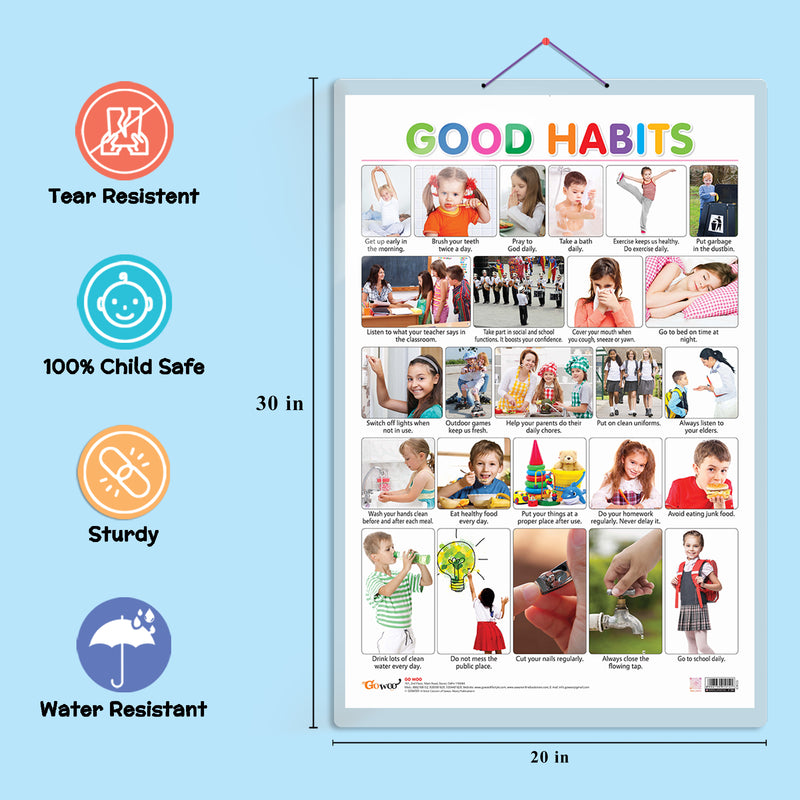 Set of 4 Vegetables, Domestic Animals and Pets, Wild Animals and Good Habits Early Learning Educational Charts for Kids | 20"X30" inch |Non-Tearable and Waterproof | Double Sided Laminated | Perfect for Homeschooling, Kindergarten and Nursery Students