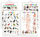 Set of 4 Domestic Animals and Pets, Wild Animals, Birds and Parts of the Body Early Learning Educational Charts for Kids | 20"X30" inch |Non-Tearable and Waterproof | Double Sided Laminated | Perfect for Homeschooling, Kindergarten and Nursery Students