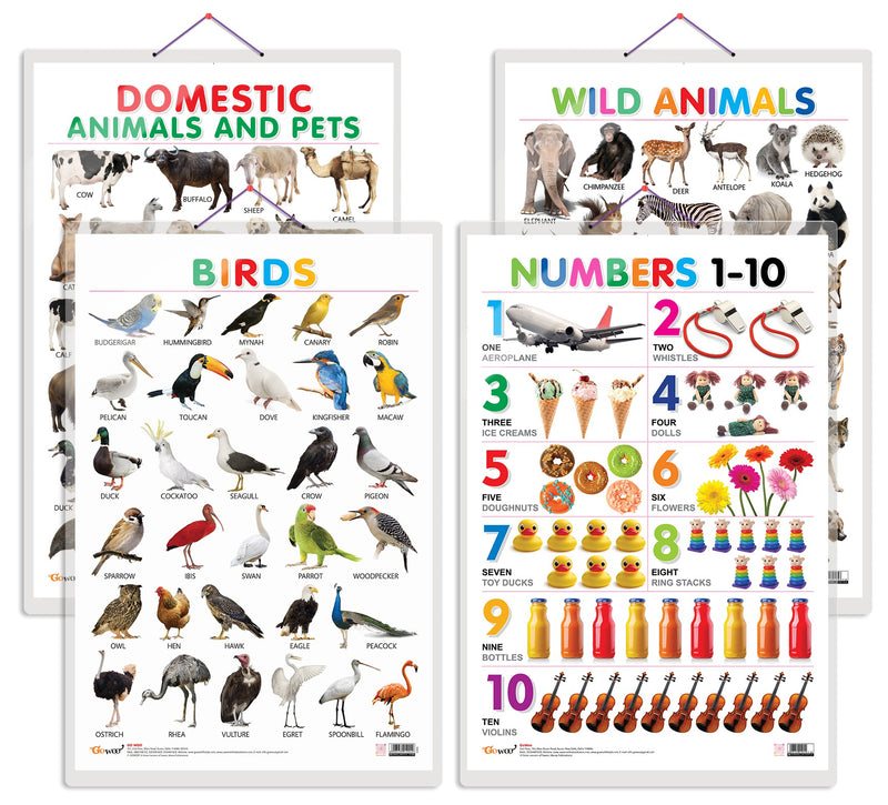Set of 4 Domestic Animals and Pets, Wild Animals, Birds and Numbers 1-10 Early Learning Educational Charts for Kids | 20"X30" inch |Non-Tearable and Waterproof | Double Sided Laminated | Perfect for Homeschooling, Kindergarten and Nursery Students