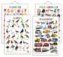 Set of 4 Wild Animals, Birds, Flowers and Transport Early Learning Educational Charts for Kids | 20"X30" inch |Non-Tearable and Waterproof | Double Sided Laminated | Perfect for Homeschooling, Kindergarten and Nursery Students