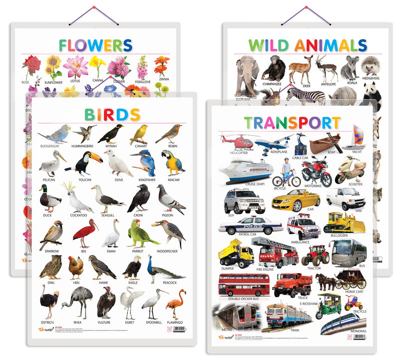 Set of 4 Wild Animals, Birds, Flowers and Transport Early Learning Educational Charts for Kids | 20"X30" inch |Non-Tearable and Waterproof | Double Sided Laminated | Perfect for Homeschooling, Kindergarten and Nursery Students