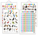 Set of 4 Wild Animals, Birds, Flowers and Numbers 1-100 Early Learning Educational Charts for Kids | 20"X30" inch |Non-Tearable and Waterproof | Double Sided Laminated | Perfect for Homeschooling, Kindergarten and Nursery Students