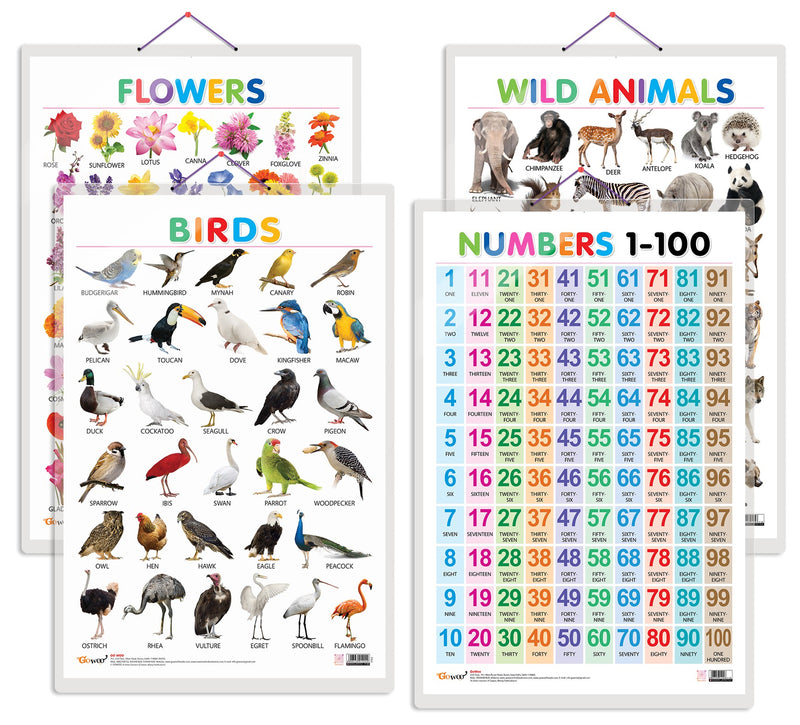 Set of 4 Wild Animals, Birds, Flowers and Numbers 1-100 Early Learning Educational Charts for Kids | 20"X30" inch |Non-Tearable and Waterproof | Double Sided Laminated | Perfect for Homeschooling, Kindergarten and Nursery Students