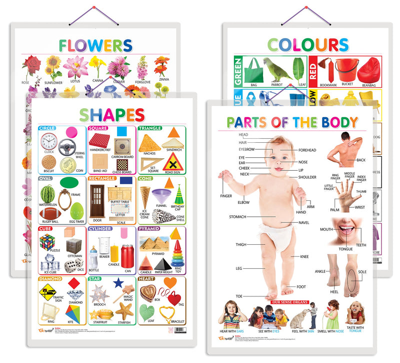 Set of 4 Flowers, Colours, Shapes and Parts of the Body Early Learning Educational Charts for Kids | 20"X30" inch |Non-Tearable and Waterproof | Double Sided Laminated | Perfect for Homeschooling, Kindergarten and Nursery Students
