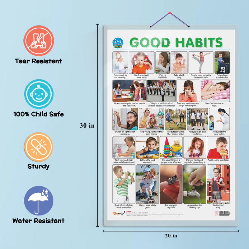 GOWOO - 2 IN 1 GOOD HABITS AND ACTION WORDS