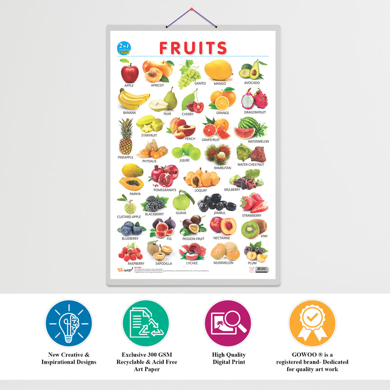 Set of 2 | 2 IN 1 COLOURS AND SHAPES and 2 IN 1 FRUITS AND VEGETABLES Early Learning Educational Charts for Kids | 20"X30" inch |Non-Tearable and Waterproof | Double Sided Laminated | Perfect for Homeschooling, Kindergarten and Nursery Students