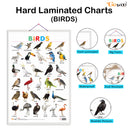 GOWOO - Birds