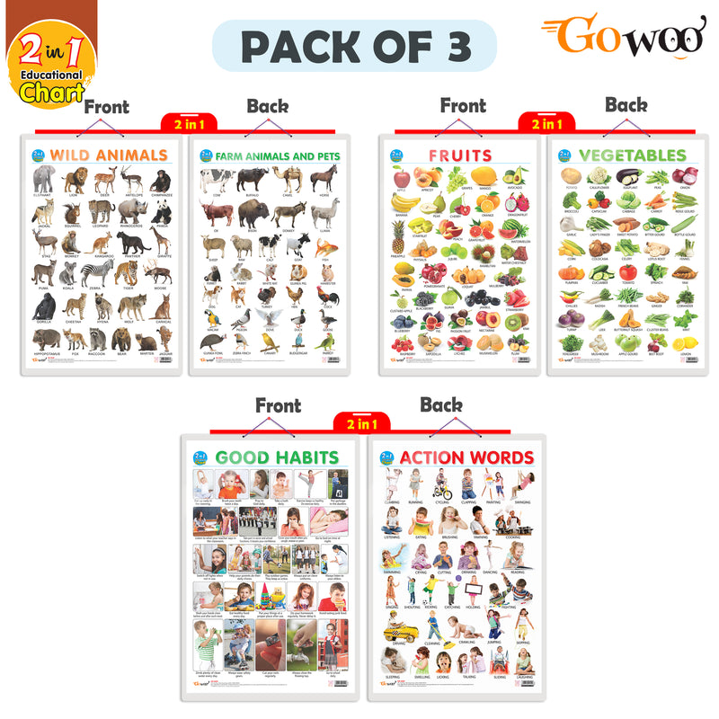 Set of 3 |2 IN 1 FRUITS AND VEGETABLES, 2 IN 1 WILD AND FARM ANIMALS & PETS and 2 IN 1 GOOD HABITS AND ACTION WORDS Early Learning Educational Charts for Kids