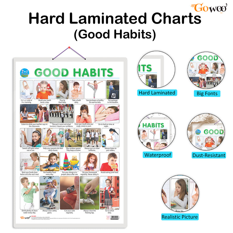 Set of 3 |2 IN 1 FRUITS AND VEGETABLES, 2 IN 1 WILD AND FARM ANIMALS & PETS and 2 IN 1 GOOD HABITS AND ACTION WORDS Early Learning Educational Charts for Kids